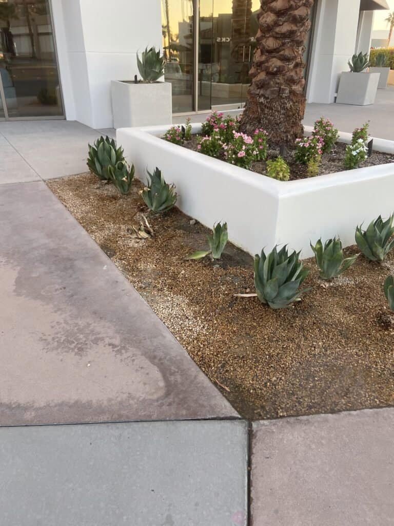 Succulents and colorful flowers enhance the outdoor space aesthetic.