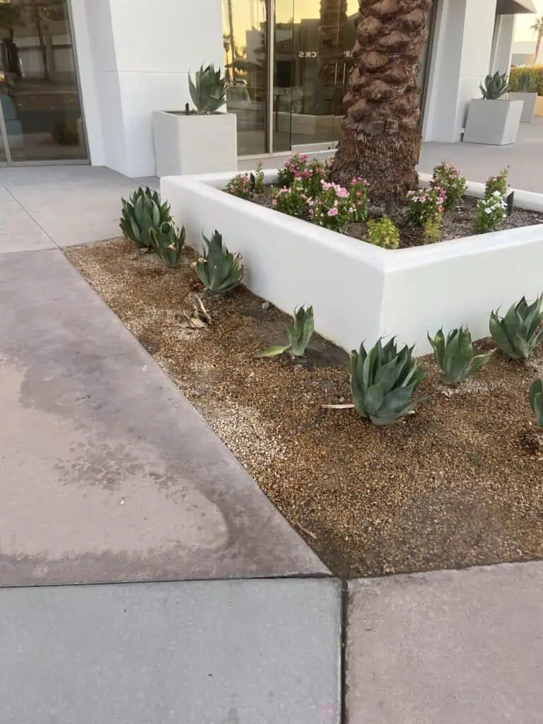 Succulents and colorful flowers enhance the outdoor space aesthetic.