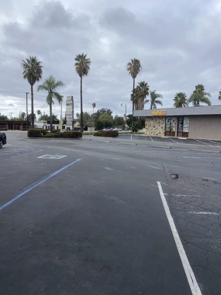 A large, empty parking lot with palm trees, commercial building, and cloudy sky, showcasing landscaping and outdoor space design.