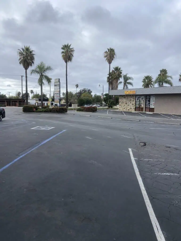 A large, empty parking lot with palm trees, commercial building, and cloudy sky, showcasing landscaping and outdoor space design.