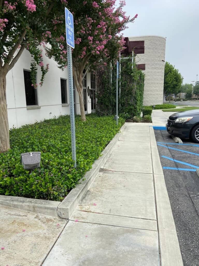 Handicap parking accessible sidewalk with landscaping and flowering trees in the background.