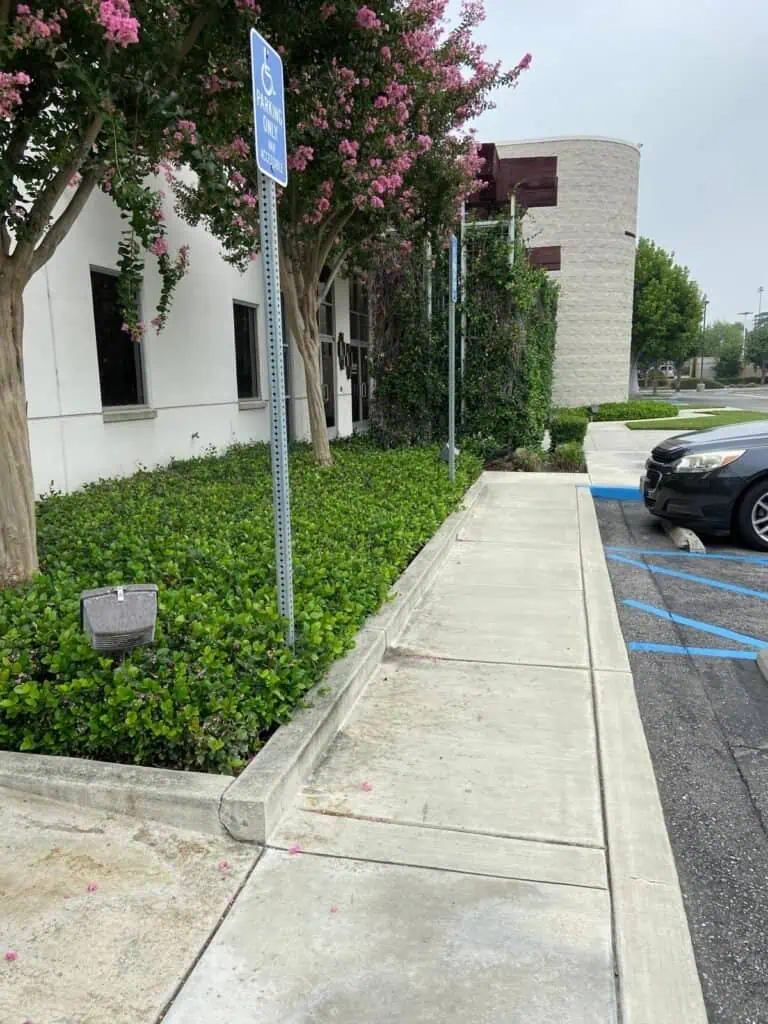 Handicap parking accessible sidewalk with landscaping and flowering trees in the background.