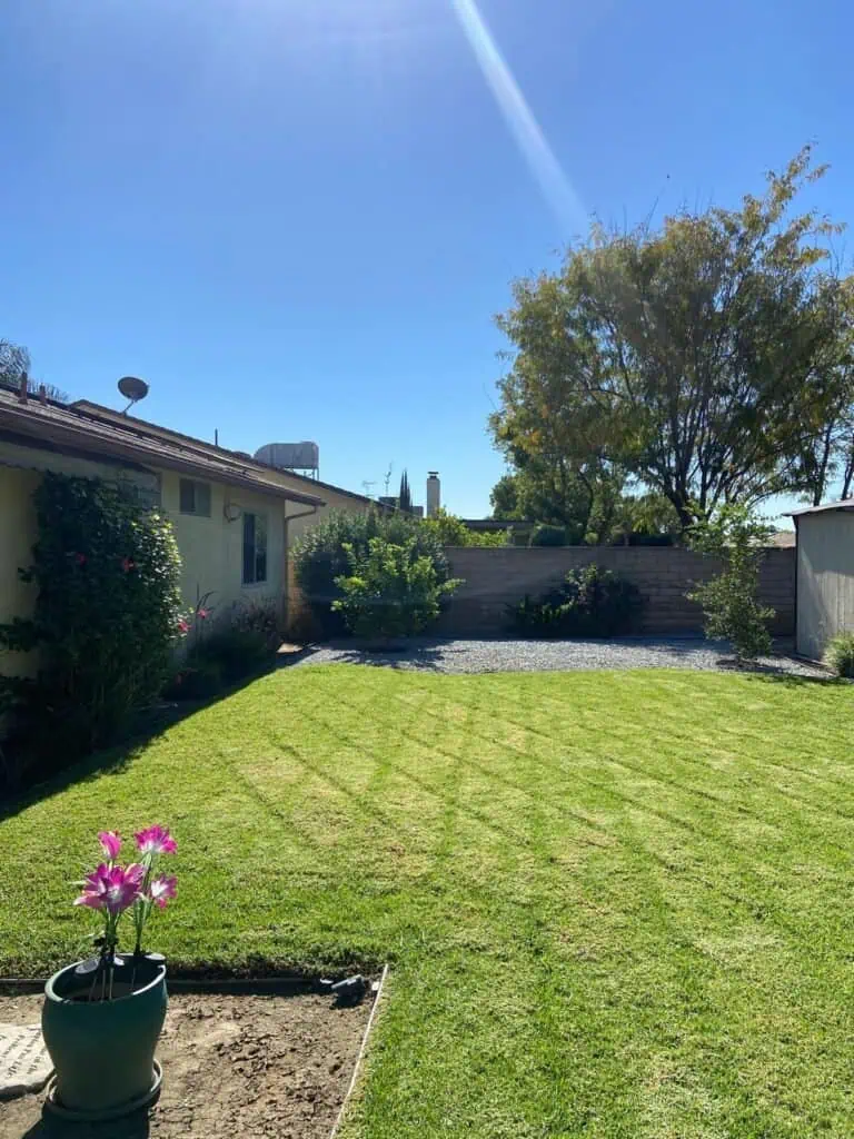 Vibrant backyard with well-maintained grass, blooming flowers, and landscape design by Varela Landscaping Inc.