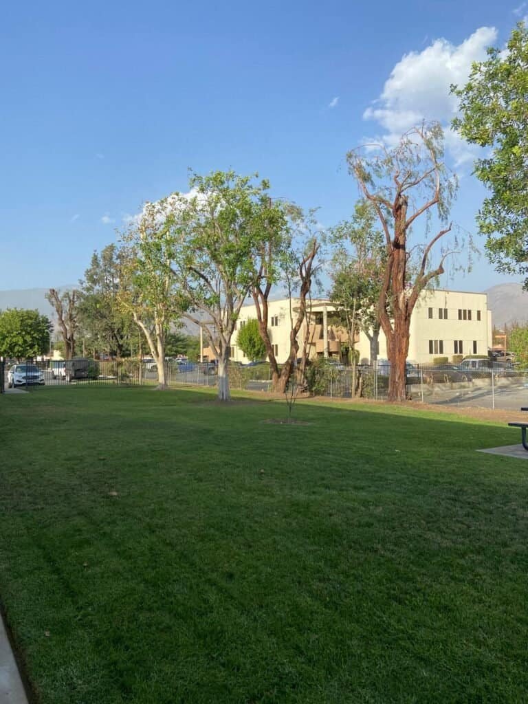 Varela Landscaping Inc. specializes in professional landscape design, tree care, and lawn maintenance services.