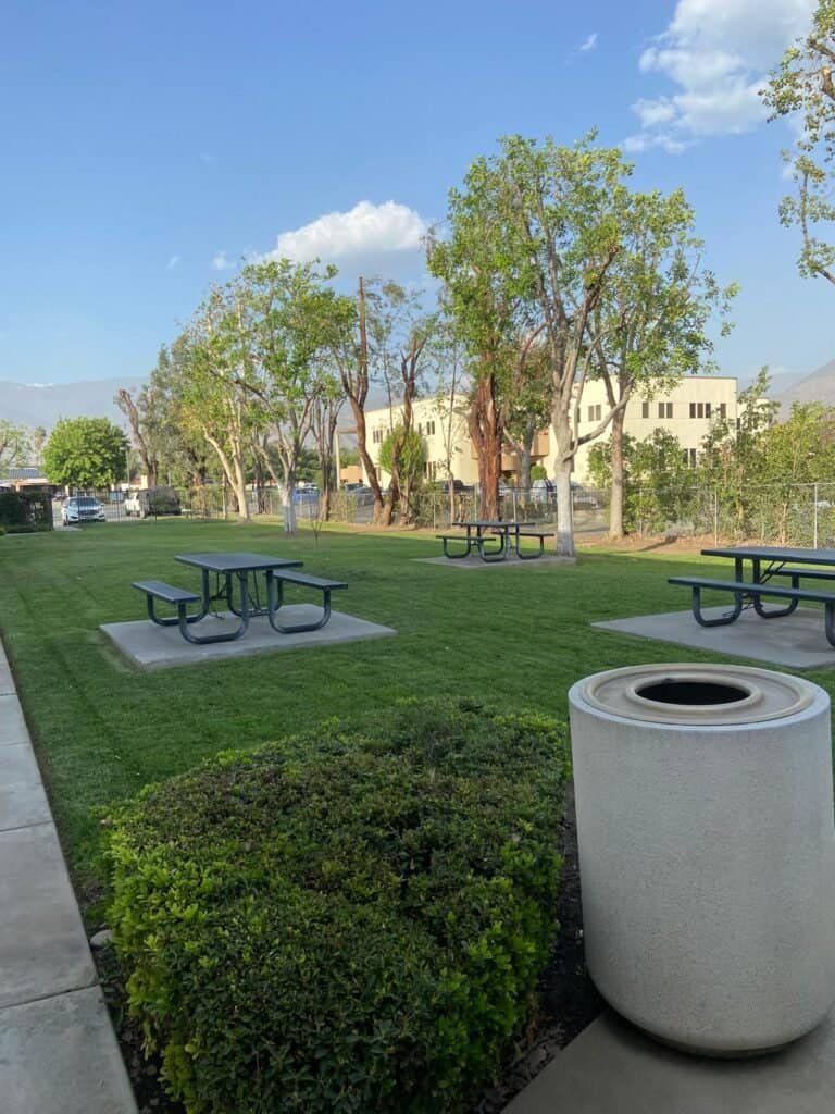 Beautiful outdoor park with lush grass, mature trees, and picnic areas for family and community enjoyment.