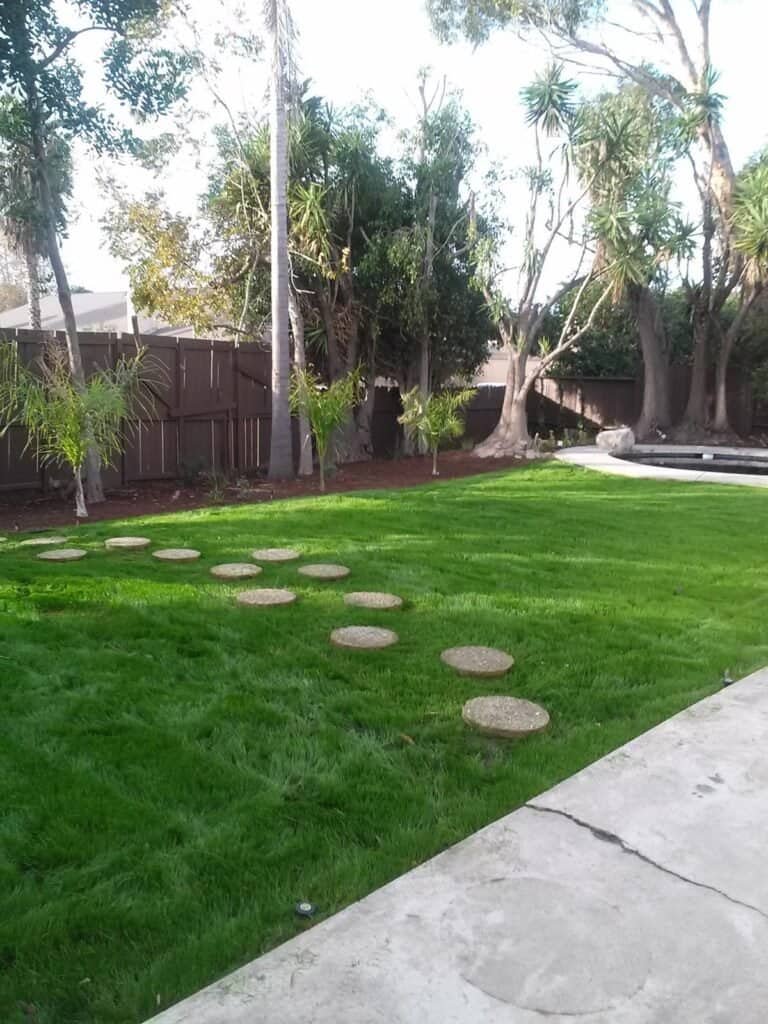 Beautiful backyard with stone pathway, vibrant lawn, and mature trees for landscaping.