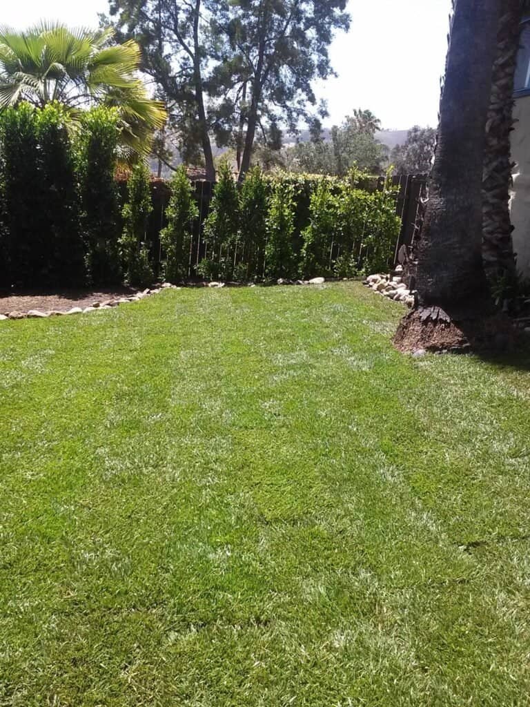 Beautiful yard with vibrant grass, landscaping, and privacy fencing.