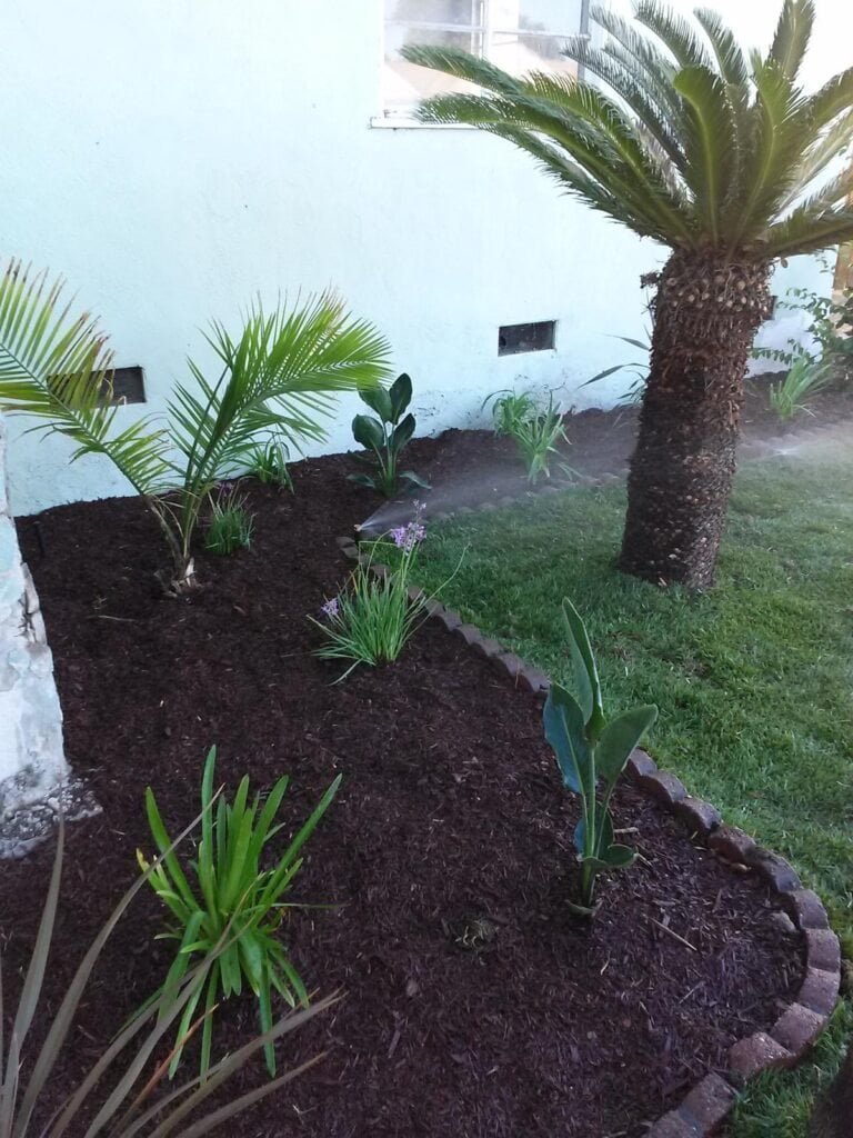 Beautiful landscape design with lush, tropical plants and fresh mulch for outdoor curb appeal.