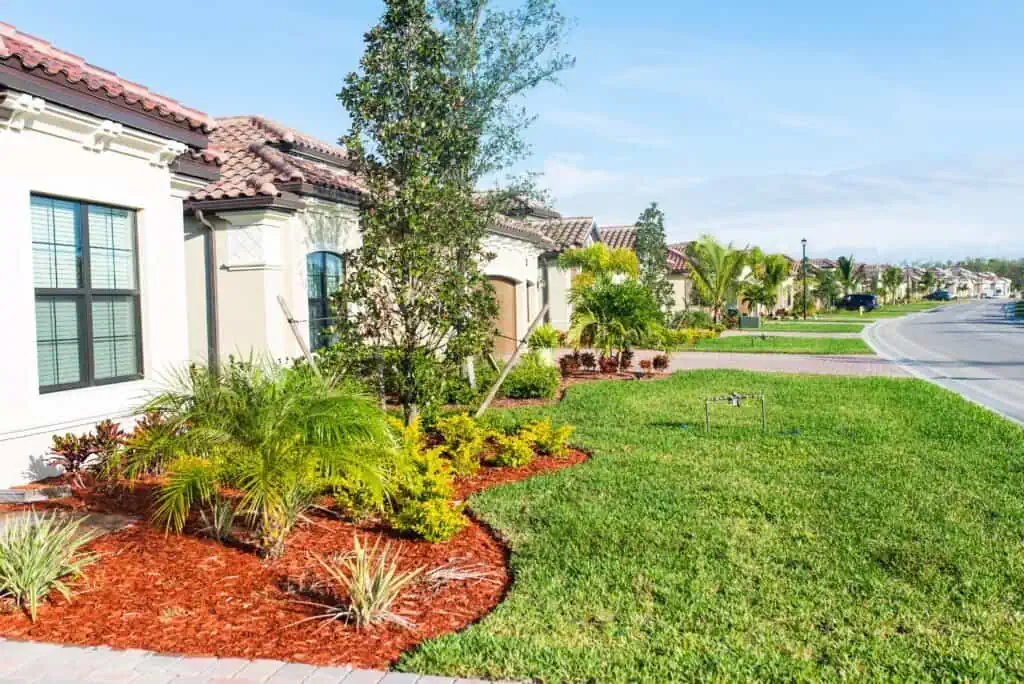 Bright, vibrant front yard landscaping with tropical plants and curb appeal.