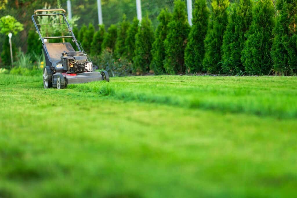 Outdoor lawn mower on freshly cut grass with vibrant greenery and well-maintained landscape.