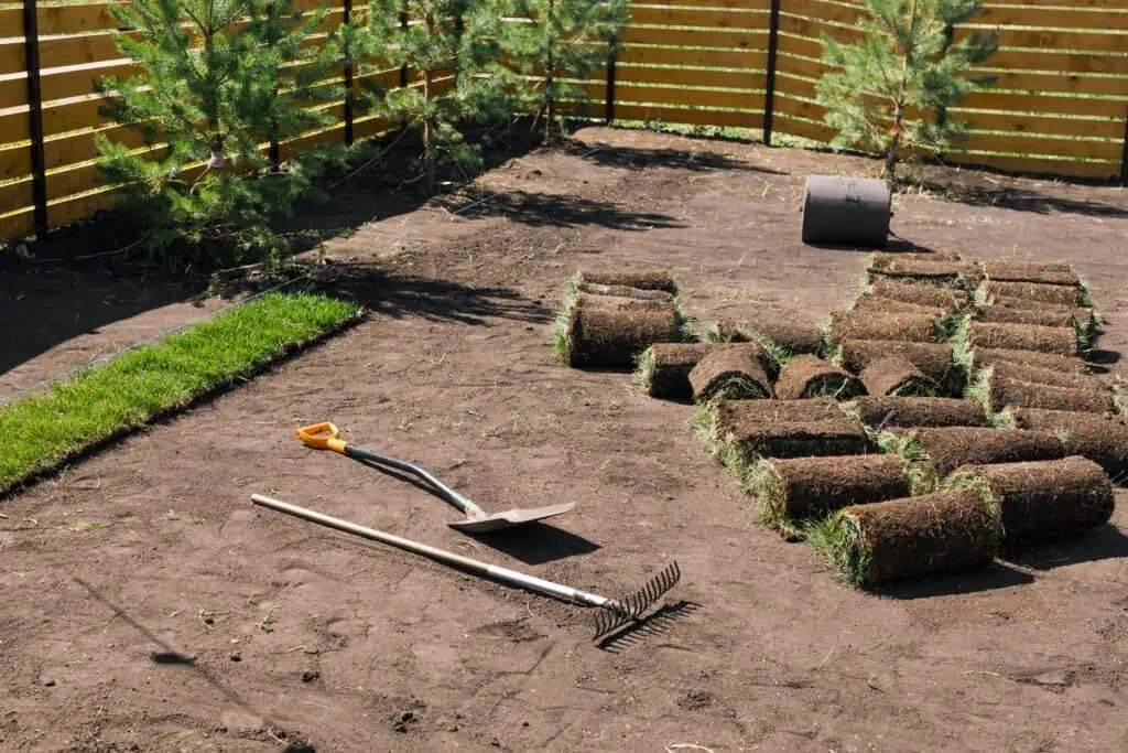 Landscape sod installation, gardening tools, and new grass in a backyard, eco-friendly landscaping.