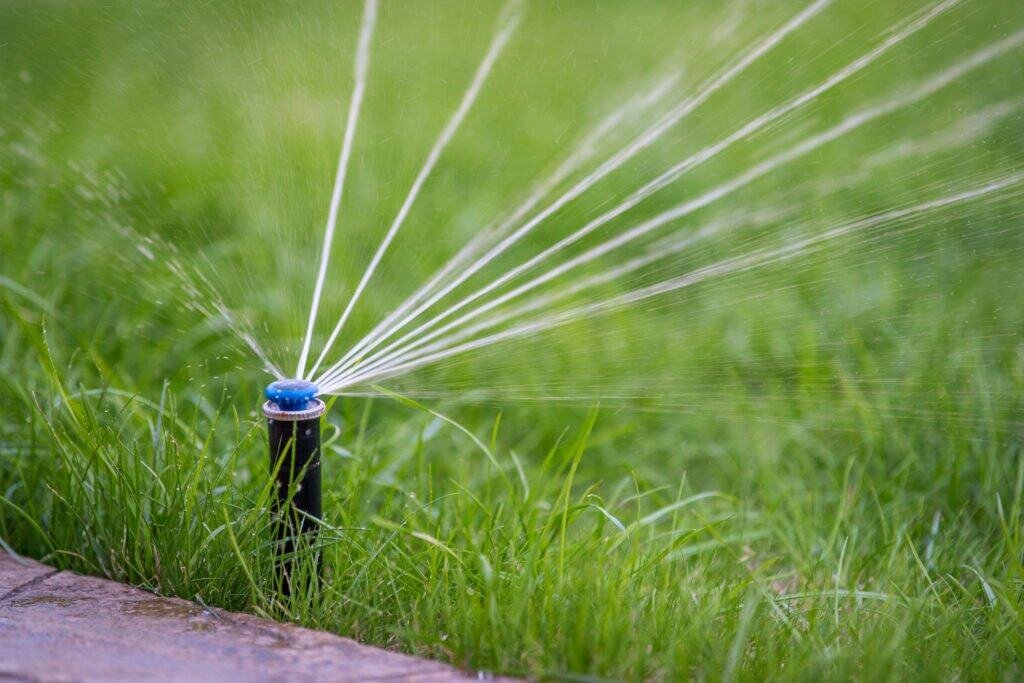 Sprinkler system watering green grass in a backyard garden for landscaping and irrigation.