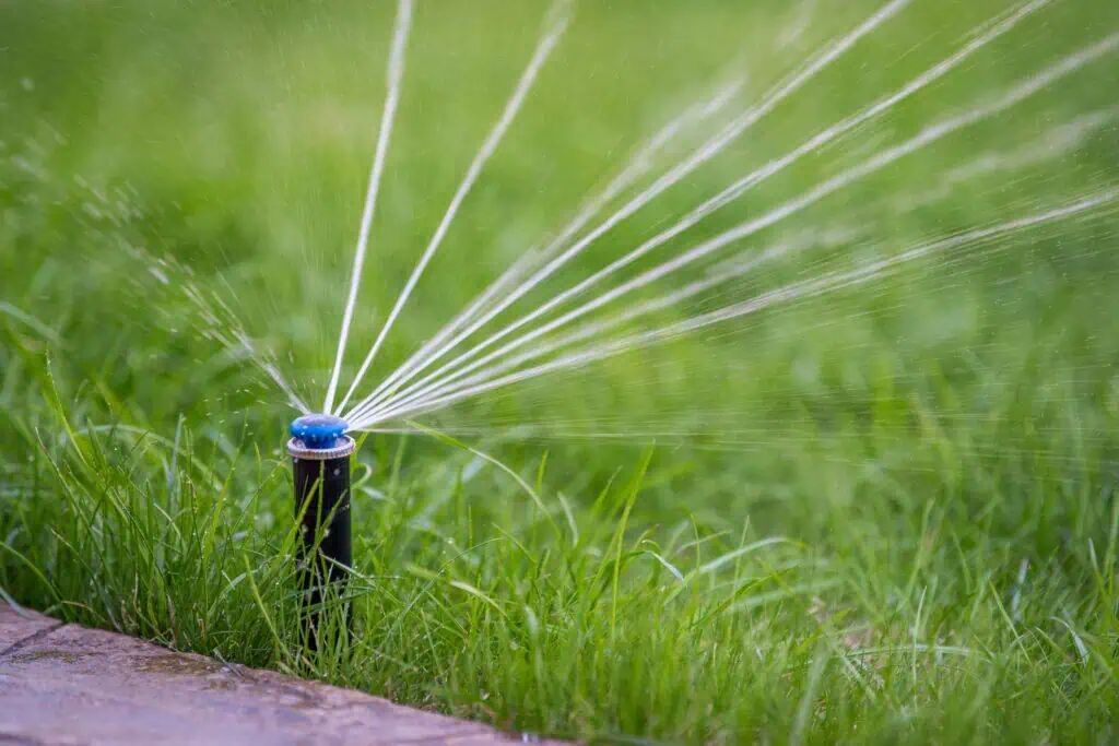 Sprinkler system watering green grass in a backyard garden for landscaping and irrigation.